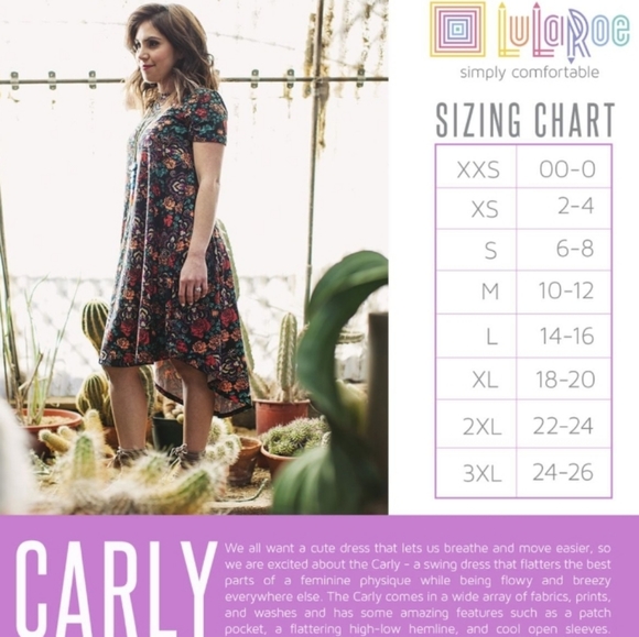 NWT Lularoe Carly Aztec Print Dress XL - Picture 7 of 7